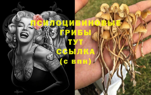 герыч Алзамай