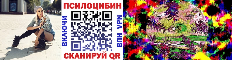 Псилоцибиновые грибы GOLDEN TEACHER omg ONION Елизово